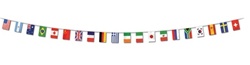 International Flag Banner