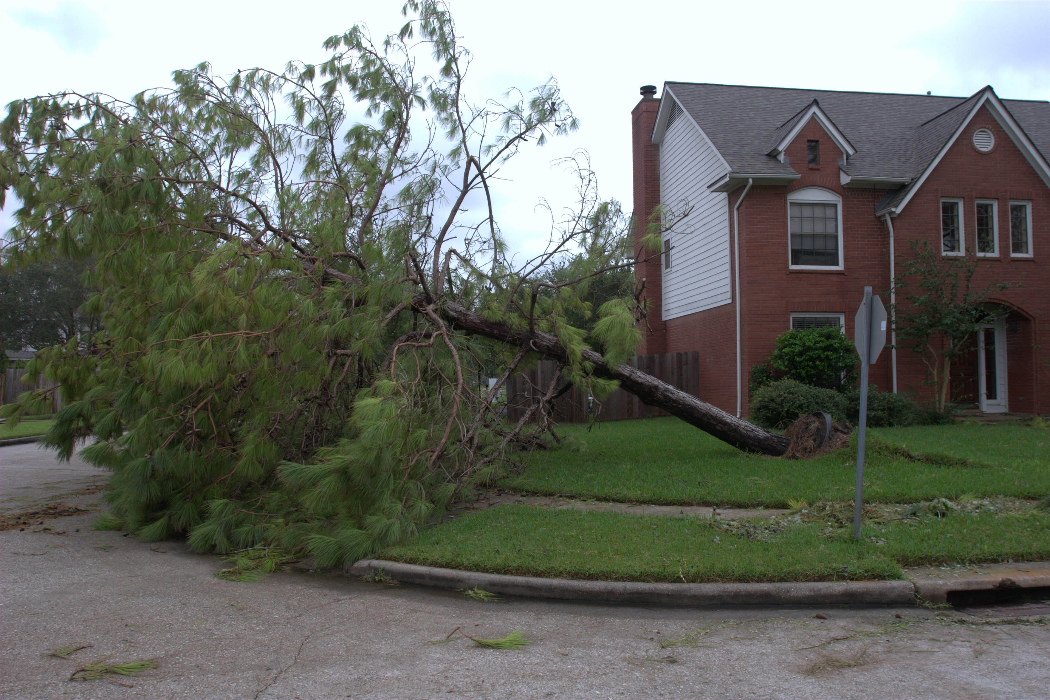 Hurricane Ike hit Houston 6 weeks after we moved in to our new house.  